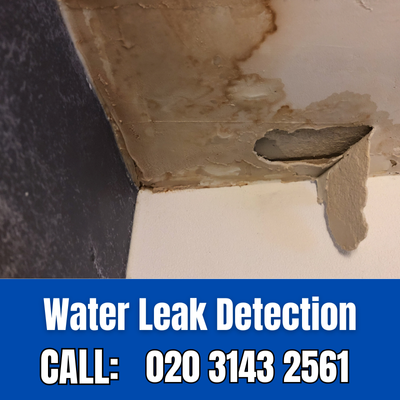 Expert Water Leak Detection Services in Walthamstow | Walthamstow Leak Detection